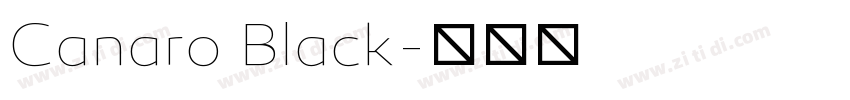 Canaro Black字体转换